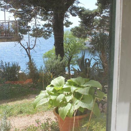 Apartman Tafra Omiš Екстериор снимка
